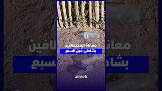 مصطافون يشتكون غياب المرافق وتراكم الأزبال بشاطئ عين السبع وسط مطالب بالتدخل thumbnail