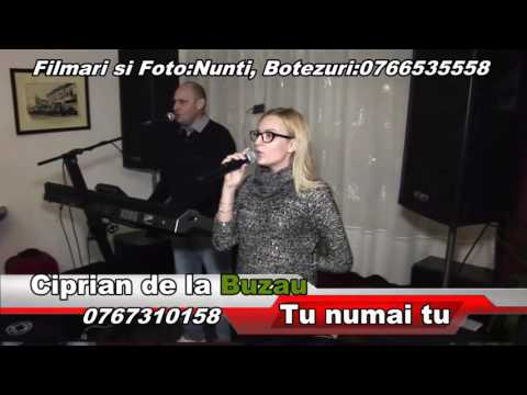 Ciprian de la Buzau - Tu numai tu