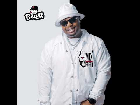 Beast Feat. Reece Madlisa,ZUMA,Busta 929 - eDubane (Official Audio)