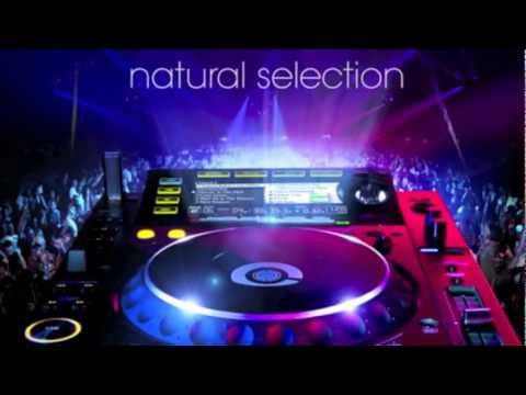 Avici vs Basto - Levels Again ( Rémi Dumay M6 Dj Experience Mashup )