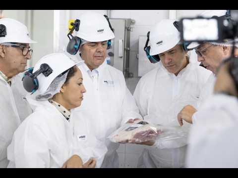 Frigorífico Tacuarembó más faena y hamburguesas