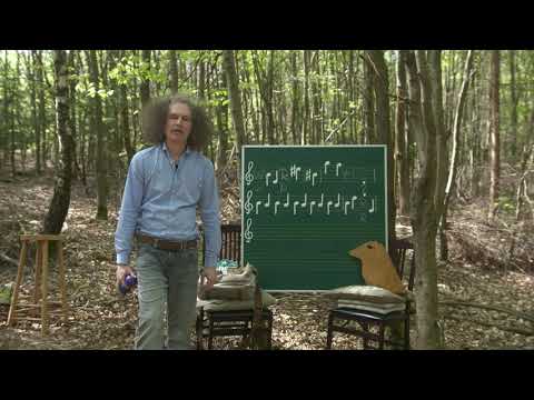 Musikstunde mit Herrn Kleis: Noten lesen 17