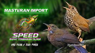 Download lagu MEWAH!! MASTERAN IMPORT SPEED RAPAT TEMBAKAN TAJAM!! mp3