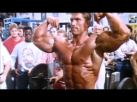 AGELESS 80'S GRANITE MUSCLE ON VENICE BEACH GYM - GARY STRYDOM MOTIVATION