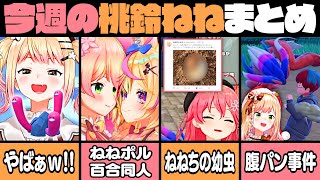 【12月3週目】今週の桃鈴ねね面白シーンまとめ【桃鈴ねね 尾丸ポルカ さくらみこ ホロライブ 切り抜き動画】ねねち最強伝説