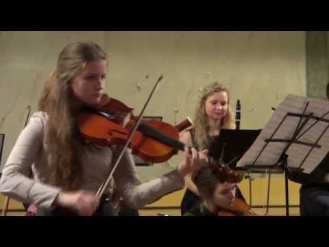 G.F Hendelis - Koncerts altam h moll