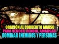 Oración al Corderito Manso para vencer, rendir, amansar y dominar, Enemigos y Personas.