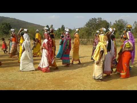 Thia pala   (jagnya kalsi bisarjna)