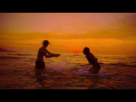 Champagne Coast - Blood Orange (but only that one part)