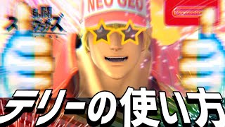 【スマブラSP】テリーの使い方 3