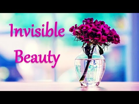 Invisible Beauty - One Hour of Relaxing Music - Music by Aakash Gandhi