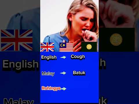 learn English to Malay and translate to Rohingya language #foryu #learningrohingyalanguage #english