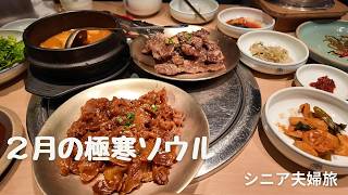 2月の極寒ソウル
