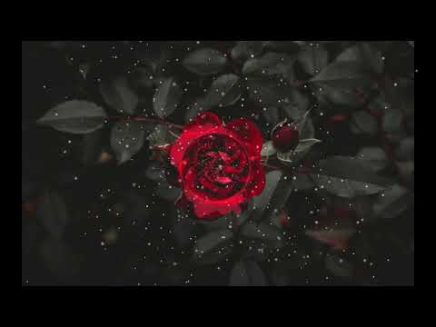 ByeAlex és a Slepp ft. Luca - Rózsák 🥀 (RaLa Remix)