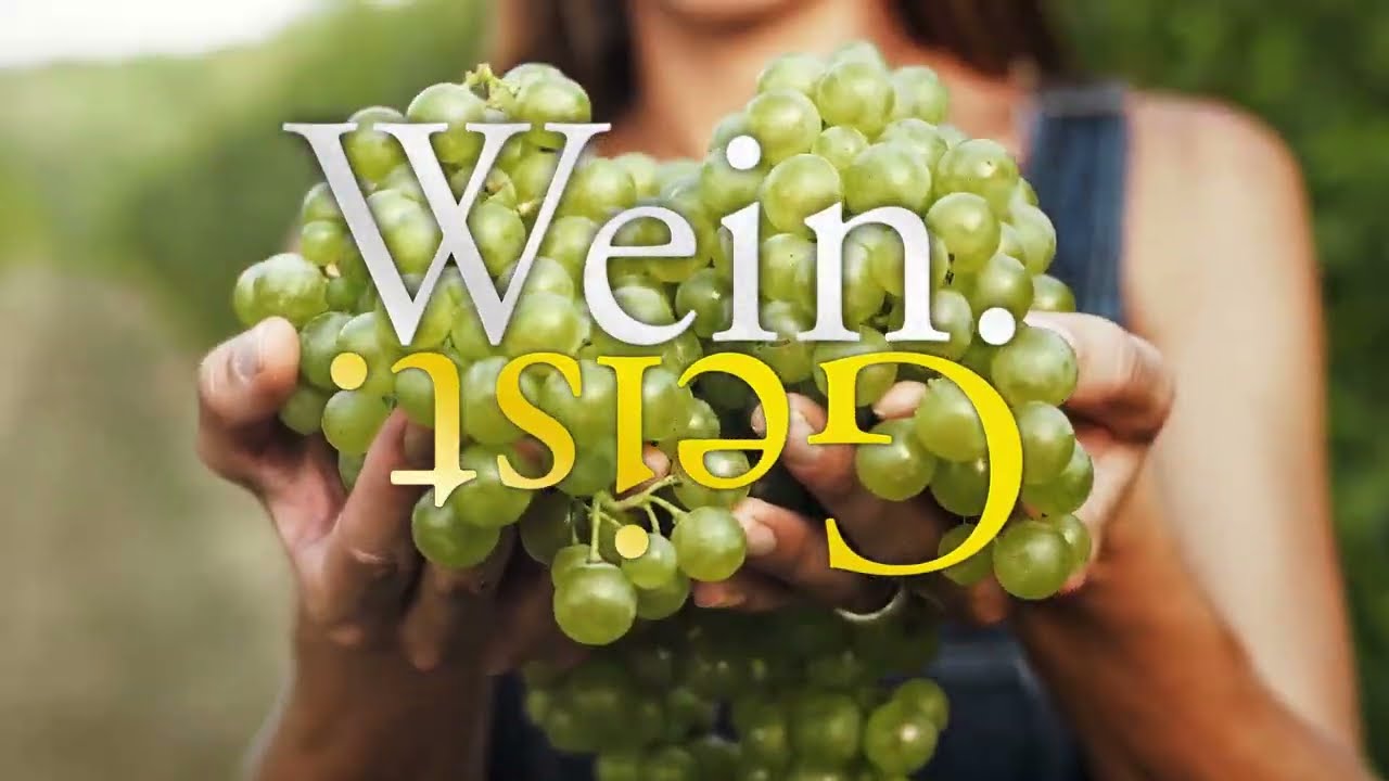 Platzhalter Dd Elbland Imagefilm