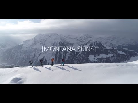 MONTANA Steigfelle