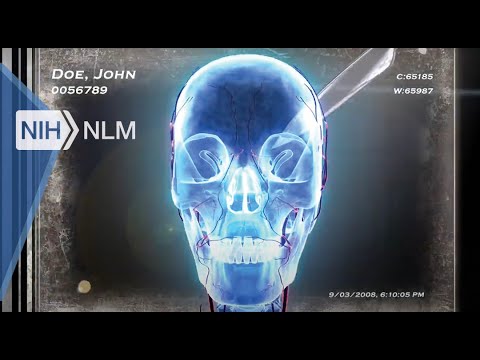 NLM Visible Proofs Exhibition