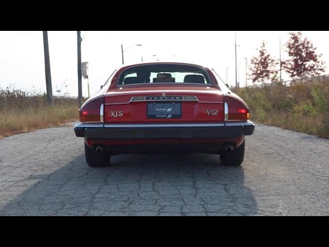 Jaguar XJS V12 - Cinematic