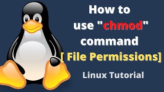 File Permissions: How to use &quot;chmod&quot; command