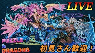 経験値5倍みたいなんで少しだけ配信！【パズドラ】