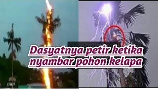 Download lagu DETIK DETIK POHON KELAPA DI SAMBAR PETIR mp3