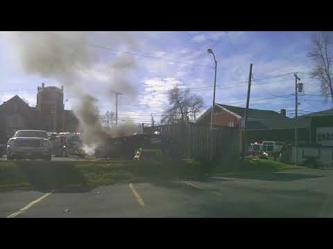 This Has Been My Year In 2020: A Dumpster Fire