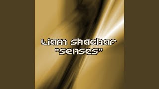 Senses (Original Mix)