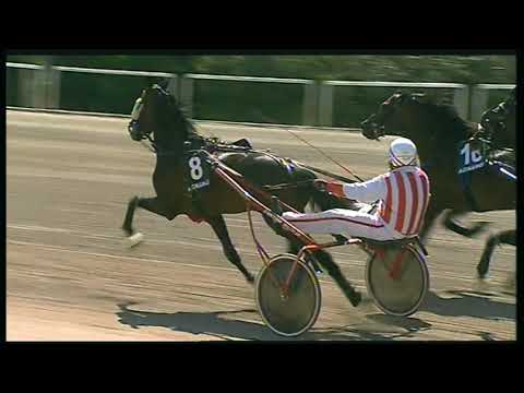 Trotto 31/05/2020 - 3ª corsa