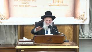 ביאורים על פרשת השבוע - פרשת מקץ תשפ"ו - חנוכה (מוסדות אור החיים) - התמונה מוצגת ישירות מתוך אתר האינטרנט יוטיוב. זכויות היוצרים בתמונה שייכות ליוצרה. קישור קרדיט למקור התוכן נמצא בתוך דף הסרטון