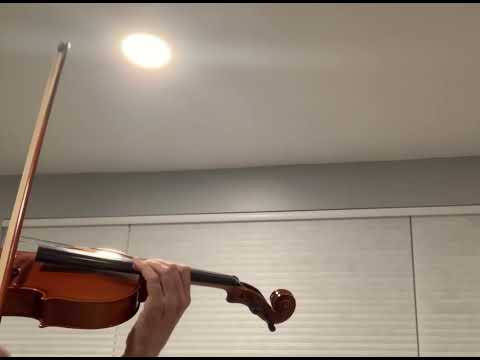 Immagine Eastman Strings Viola Outfit, 15’ 100 2012 - 10