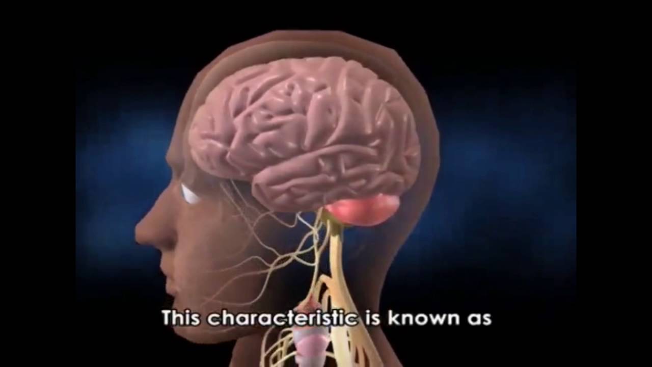 Pelangi interactive ebook