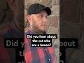 Dad Joke 83 #shorts #dadjokes #funny #jokes #cat #sourpuss