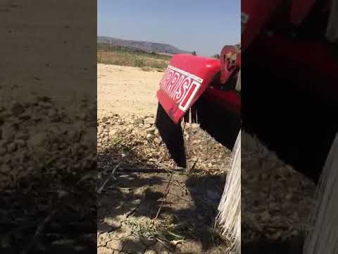 Video 11