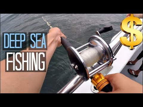 download lagu mp3 mp4 Charter Boat Fishing Nj, download lagu Charter Boat Fishing Nj gratis, unduh video klip Charter Boat Fishing Nj