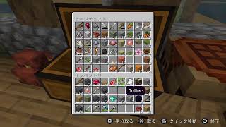 【マイクラ】