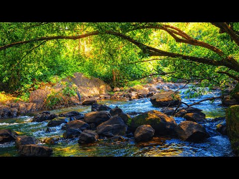 River Water Sound + Mind Relaxing Music = Sleeping