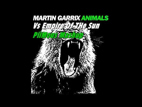 Martin Garrix ( Tom & Jame ) Vs Empire Of The Sun - Dream Animal (PiiMous Mashup)