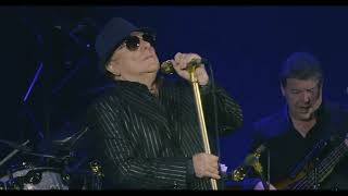 Van Morrison   Bring It On Home To Me Live At Porchester Hall London  2017youtube com