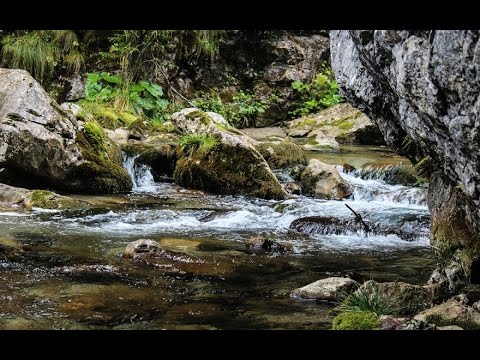 เสียงธรรมชาติคลายเครียด Relax sound , Nature sound and Water sound