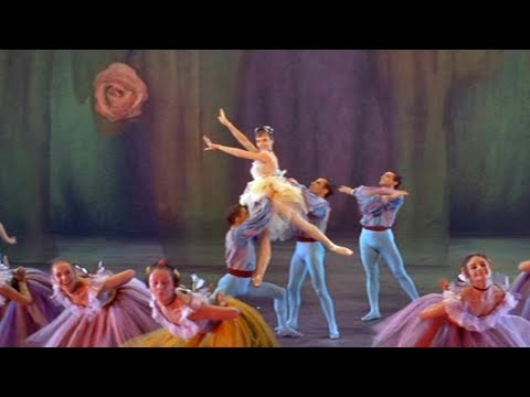 Sammy Turner - Lavender Blue