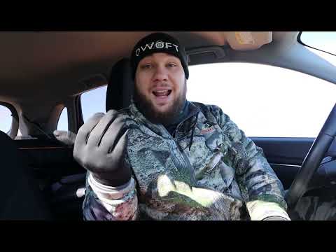 A revisit after a year - Wildlife Vlog from 5/22/2022