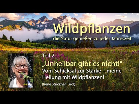 „Unheilbar gibt es nicht!“ Die kaum bekannte Kraft der Wildpflanzen