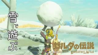 【実況】方向音痴が駆ける【ゼルダの伝説ブレスオブザワイルド】58
