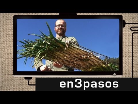 Cómo hacer una buena calçotada