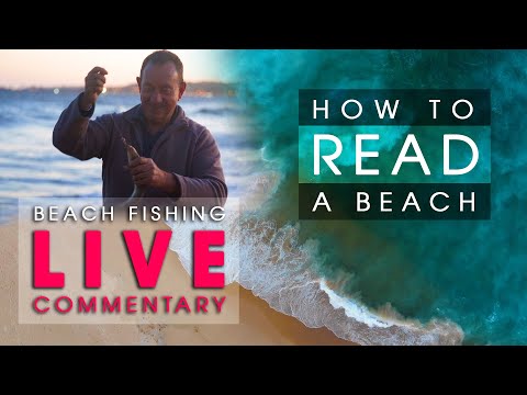 Live Commentary: HOW TO READ A BEACH - 3 Beaches Evaluated