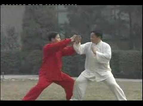 tai chi push hands