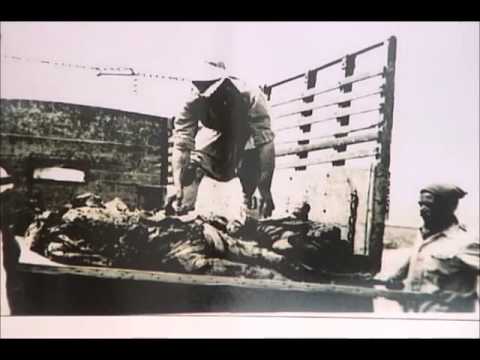 Meu Filme   Tv Camara Julho