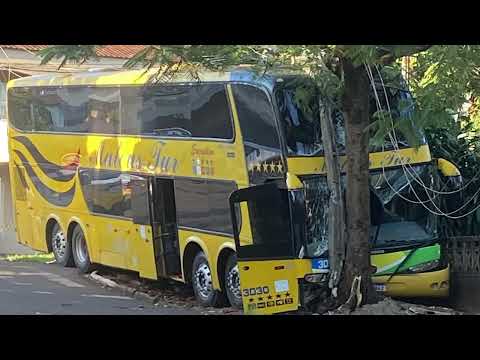 Ônibus desgovernado bate contra poste e árvore em Paraíso do Norte (PR)