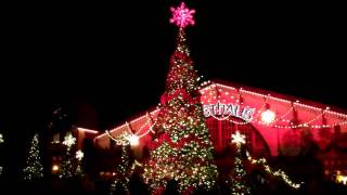 preview picture of video '2011 Christmas Tree Light Show Christmastown Busch Gardens'