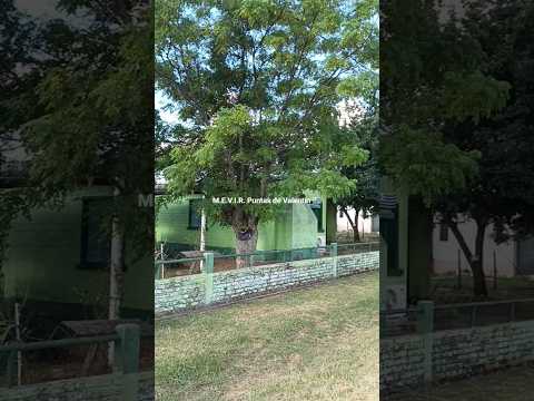Localidad de Puntas de Valentín , dpto. Salto , Uruguay , interior turbo/mega/ultra profundo 🇺🇾 .